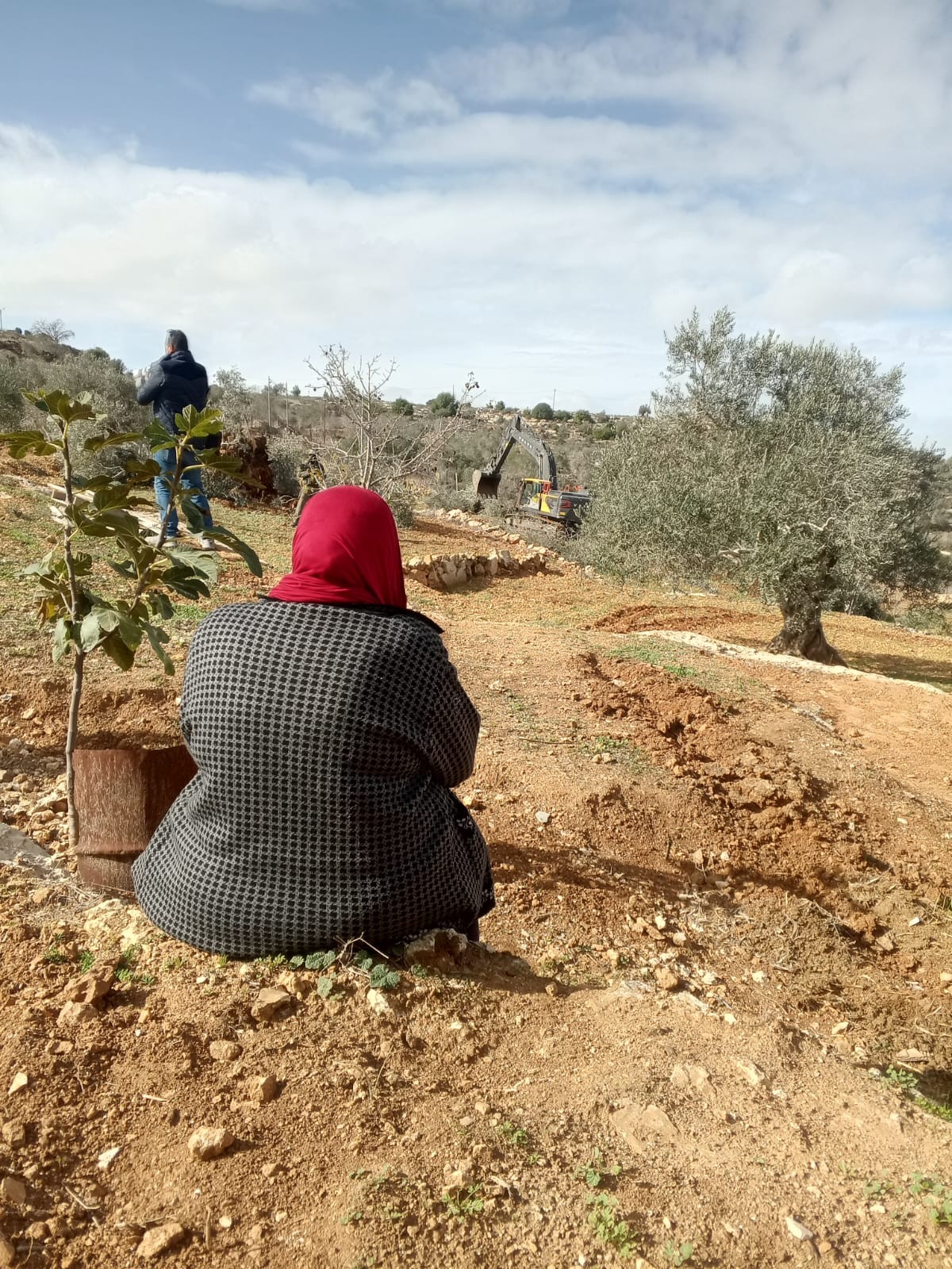 من الجذور إلى الجدار: كيف يُعيد الاستيطان رسم قريوت الفلسطينية بالقوة
