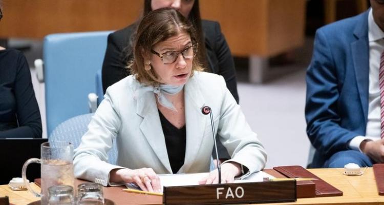 "الفاو": نظم الأغذية الزراعية في غزة قد انهارت كليًا