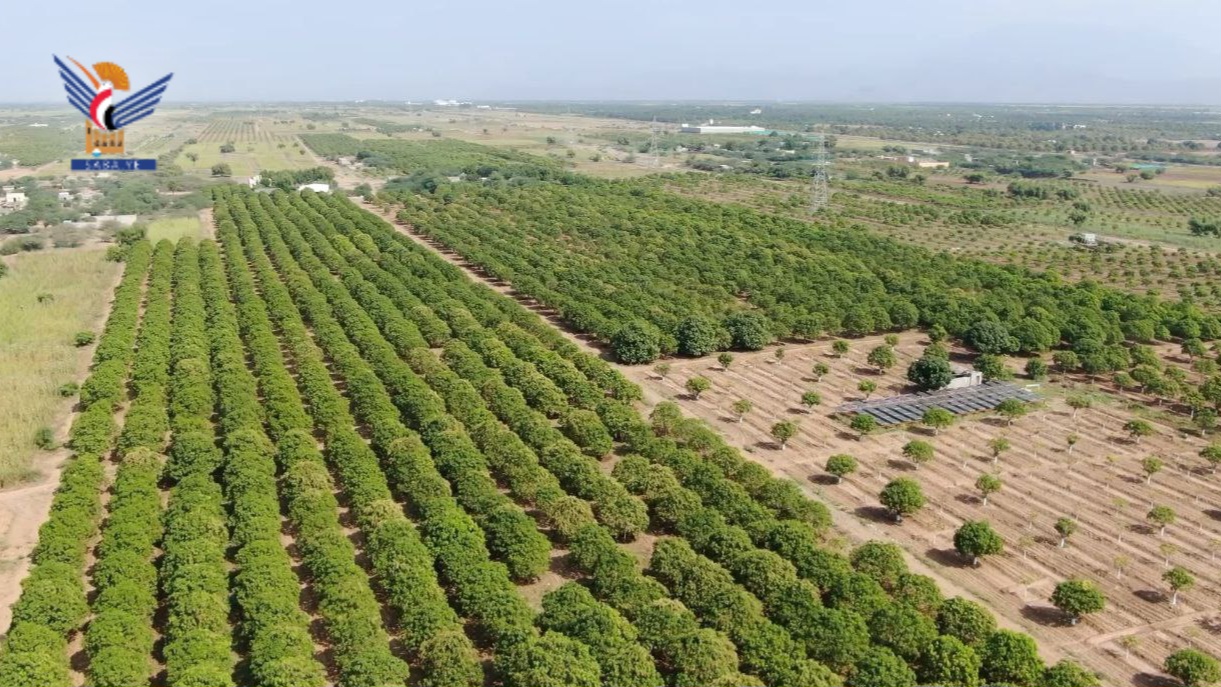 مديرية باجل.. نموذج تنموي واعد لتعزيز الاكتفاء الذاتي في الإنتاج المحلي