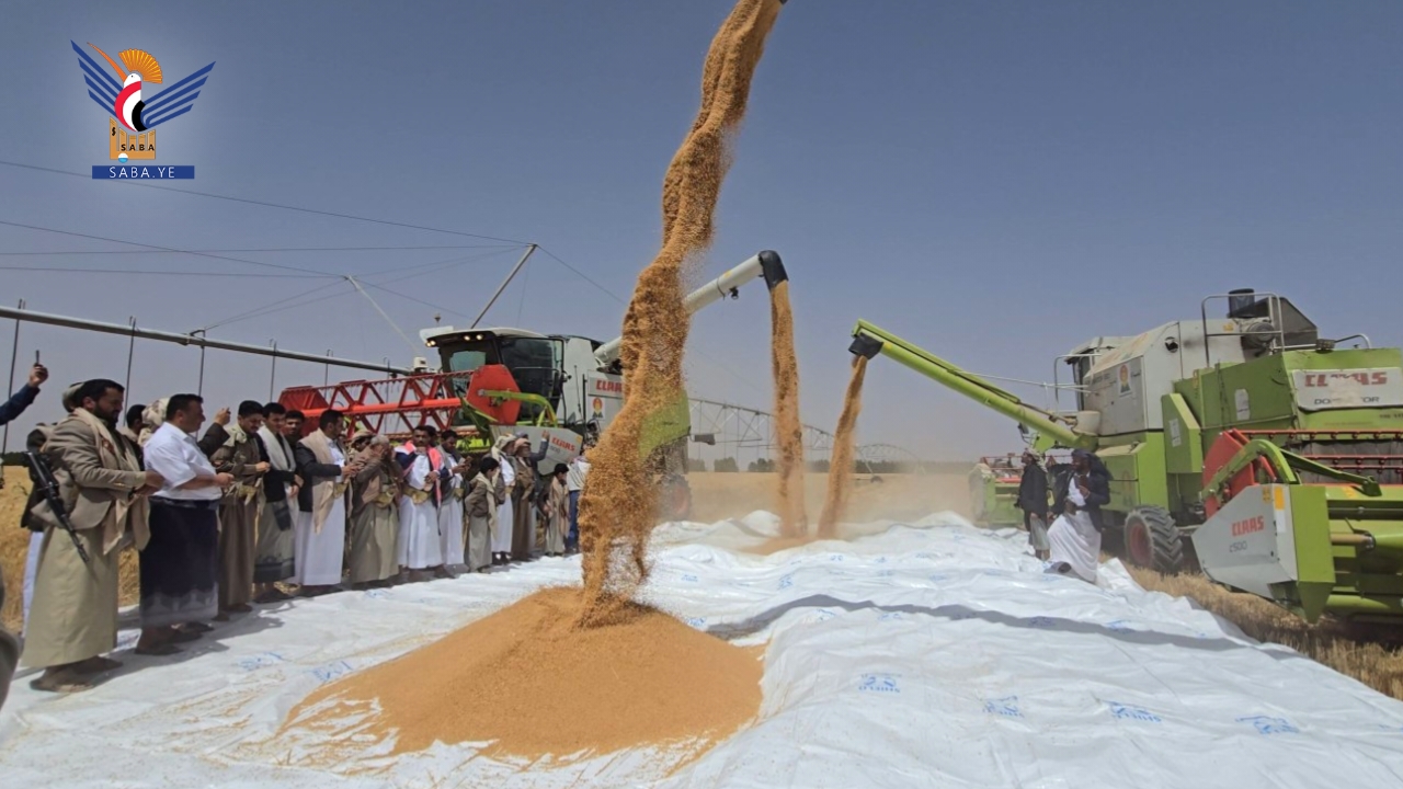 عمار الكريم وبن حيدر يدّشنان موسم حصاد القمح للعام 1447هـ في الجوف