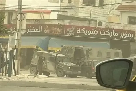 العدو الإسرائيلي يداهم منتزه في ضاحية شويكة شمال طولكرم ويستولي على حيوانات برية
