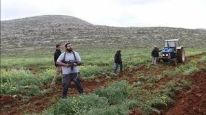 مستوطنون يجرفون أراضي في جالود جنوب نابلس