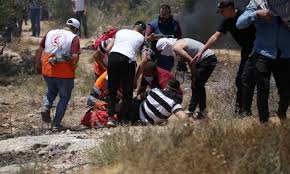 مستوطنون يحرقون "بالات" قش بالأغوار الشمالية و يقتحمون البلدة القديمة في الخليل