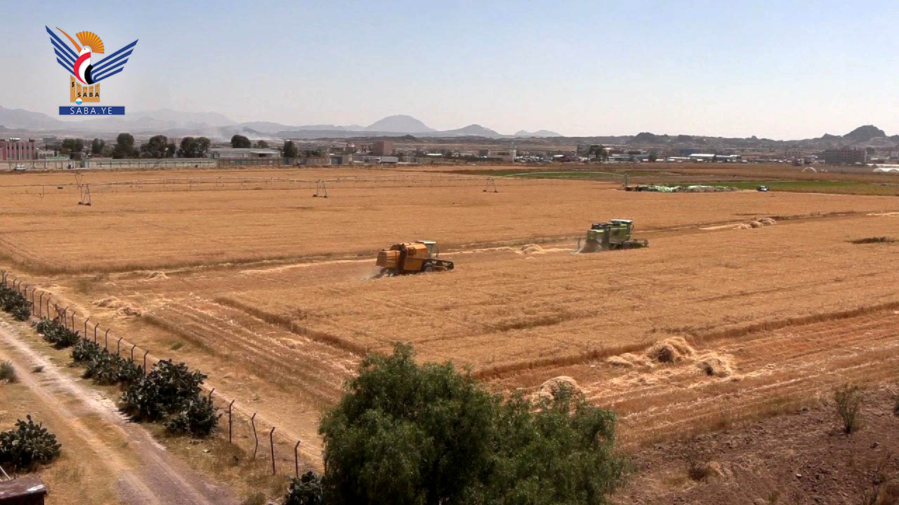 المؤسسة الاقتصادية تدّشن حصاد محاصيل الحبوب في مزرعة "الأسرة"  المؤسسة الاقتصادية تدّشن حصاد محاصيل الحبوب في مزرعة "الأسرة"