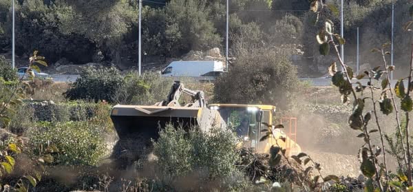 مستوطون يعتدون على أراضي زراعية في بلدة ديراستيا شمال غرب سلفيت    