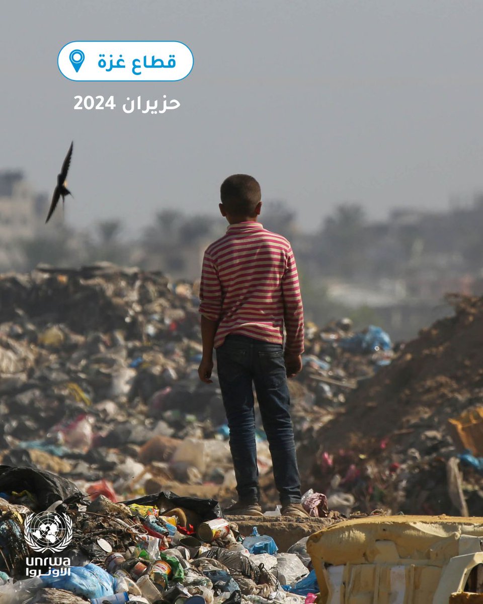 "أونروا" تقيم معرض صور في عواصم أوروبية لعرض جرائم "إسرائيل" في غزة