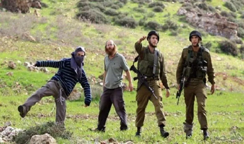 إصابة فلسطينيين في اعتداء مستوطنين بنابلس واقتلاع أشجار زيتون في بيت لحم