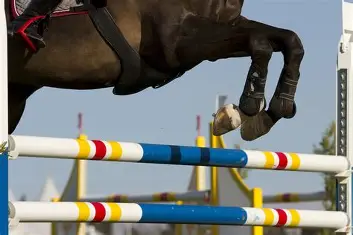 فارسة فلسطينية تتألق في بطولة قفز الحواجز بإيطاليا