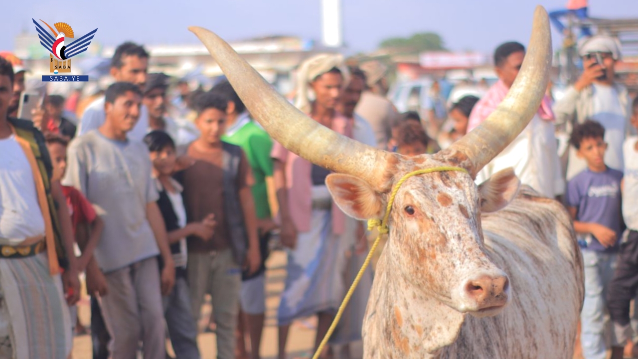 افتتاح سوق البيسة للمواشي والمنتجات الزراعية في السخنة بالحديدة