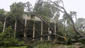 انقطاع الكهرباء عن آلاف الأستراليين بعد اجتياح الإعصار فينا لولاية الإقليم الشمالي