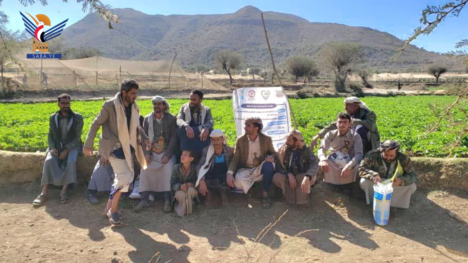 تنفيذ 14 مدرسة حقلية في عدد من المناطق الزراعية بمديريات ذمار تنفيذ 14 مدرسة حقلية في عدد من المناطق الزراعية بمديريات ذمار