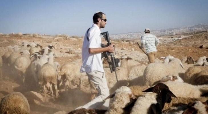 مستوطنون يصعّدون من اعتداءاتهم على الفلسطينيين وممتلكاتهم في الضفة