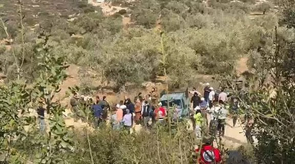 "أوتشا”: 126 هجومًا للمستوطنين منذ بدء موسم قطف الزيتون في الضفة الغربية "أوتشا”: 126 هجومًا للمستوطنين منذ بدء موسم قطف الزيتون في الضفة الغربية