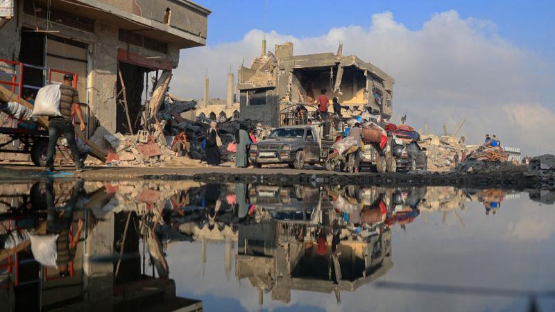 القوارض والحشرات في قطاع غزة... تهديدٌ حقيقيٌ بكارثة صحية وبيئية للسكان