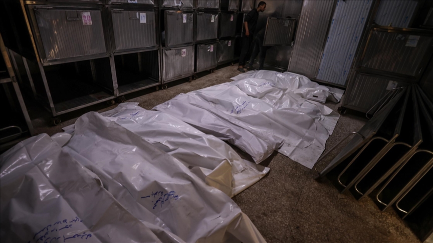 "الإعلامي الحكومي” بغزة: 9,073 شهيداً و36,900 جريحاً حصيلة عملية "عربات جدعون" الإجرامية