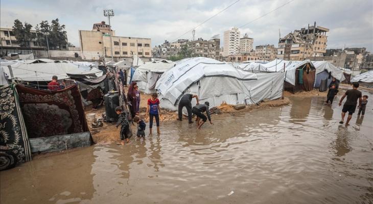 منظمة إنقاذ الطفل: الكارثة الإنسانية بغزة لم تنتهِ رغم توقف حرب الإبادة
