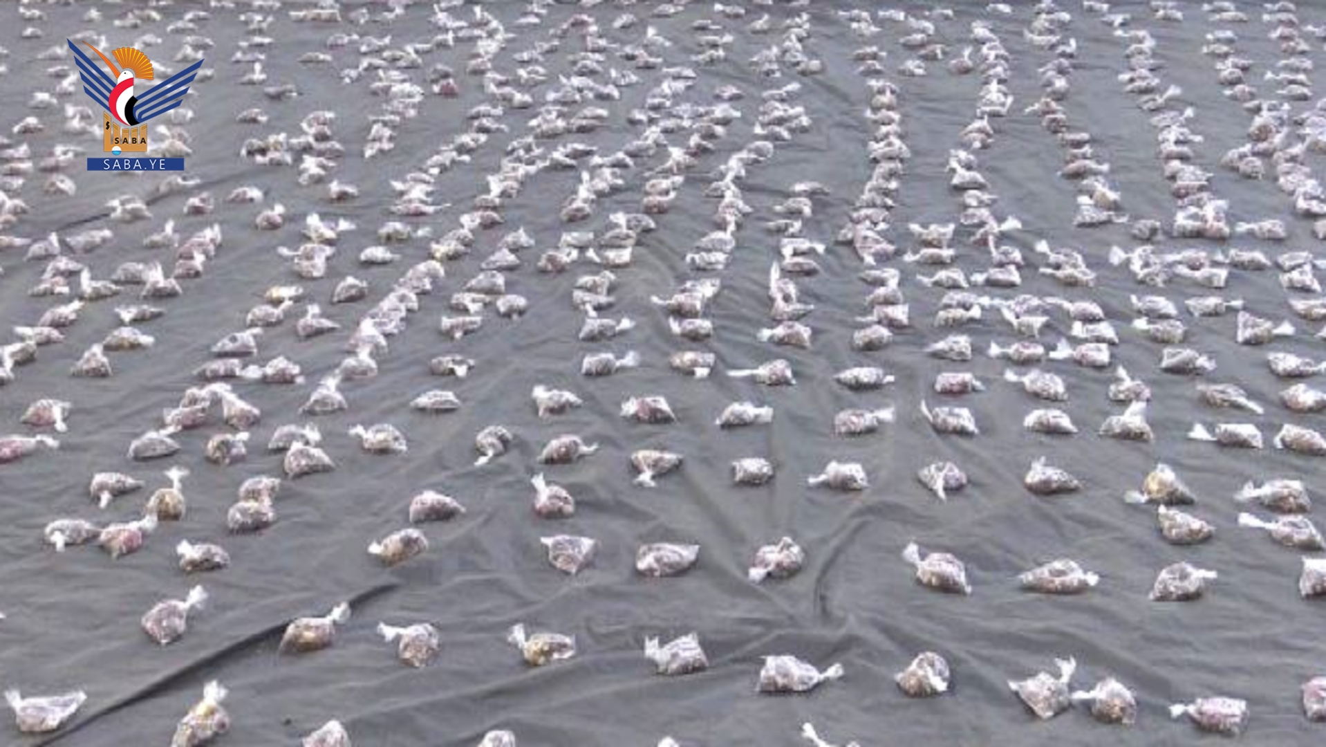  قافلتان للمرابطين بالجبهات من أبناء مناخة وأسرة المروني