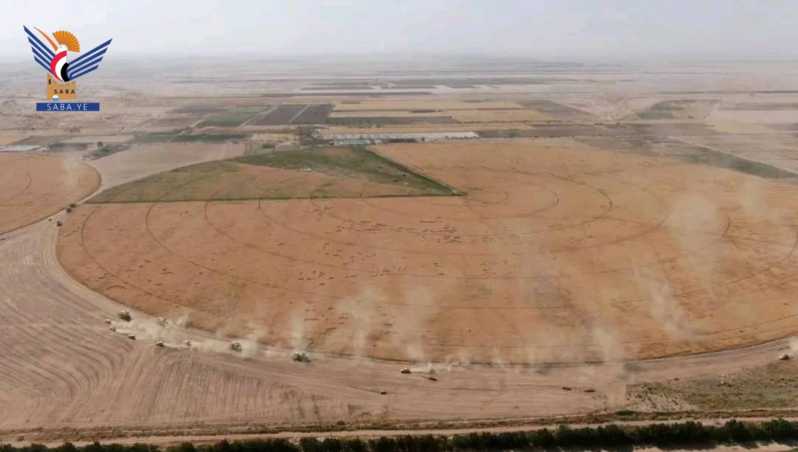 ثورة 21 سبتمبر حوّلت الجوف من صحراء إلى مخزن غذاء