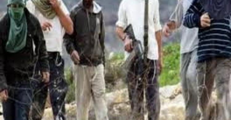 مستوطنون يعطبون إطارات مركبات بالقدس وآخرون يجرفون أراضي زراعية في المغير شمال شرق رام الله