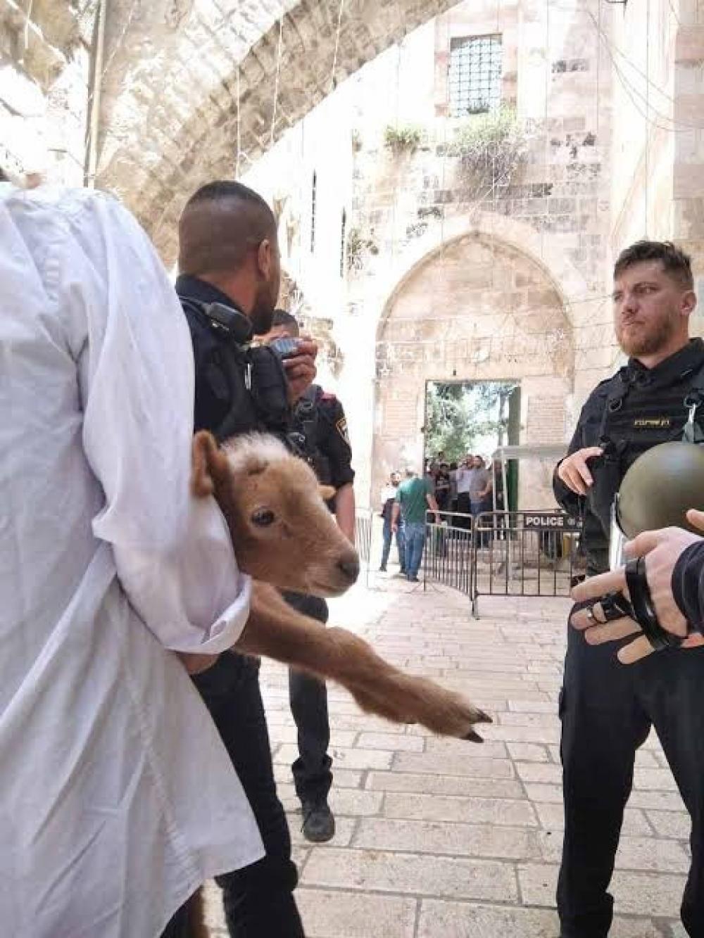 "حماس": محاولة المستوطنين ذبح القربان في الأقصى تصعيدٌ خطير يستدعي النفير