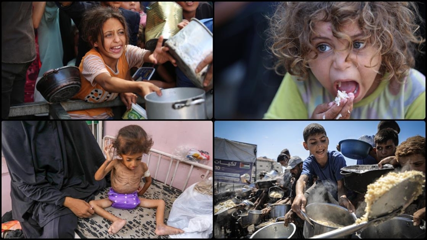 الصحة العالمية: التصعيد "الإسرائيلي" لاحتلال غزة سيكون له عواقب مروعة