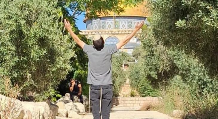 152 مستوطنا صهيونيا يدنسون "الأقصى"
