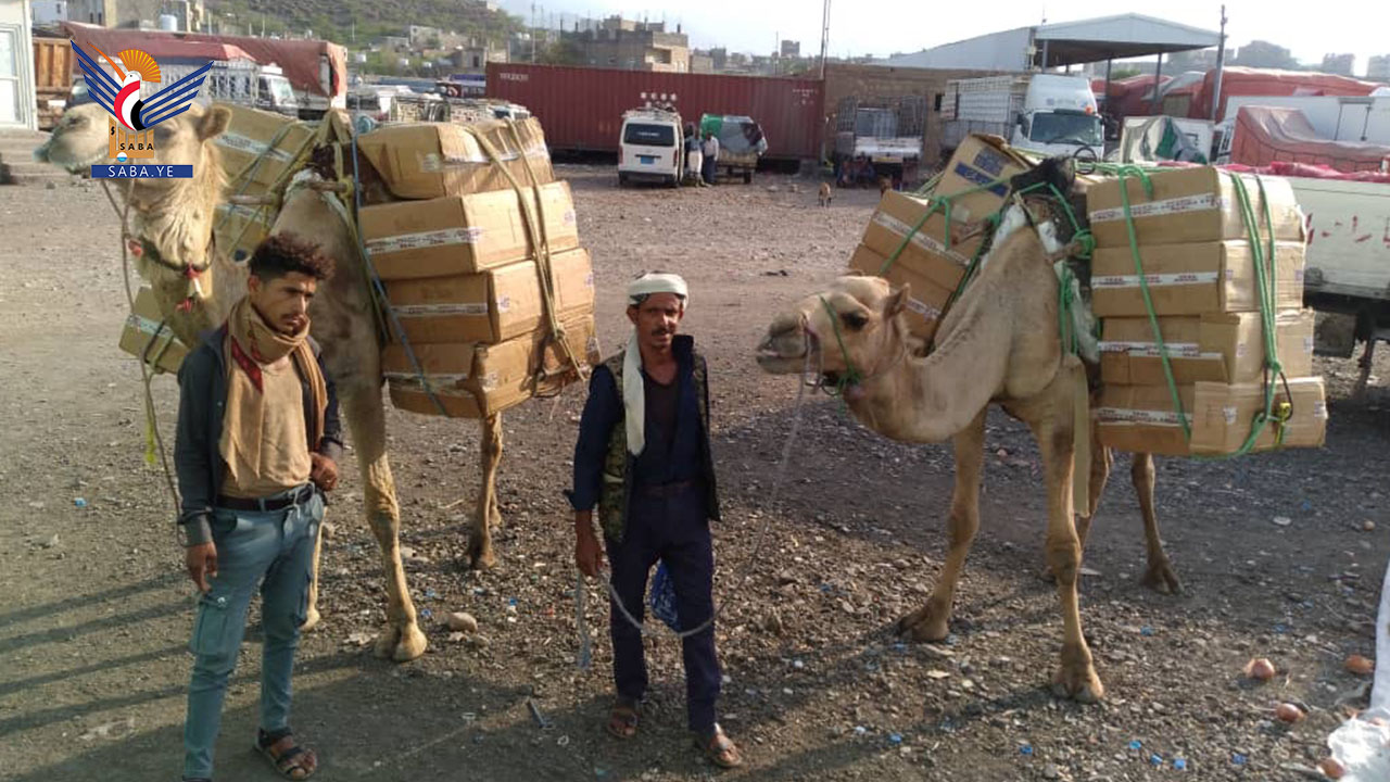 مركز الراهدة الجمركي يحبط تهريب كمية من السجائر على ظهور الجمال 