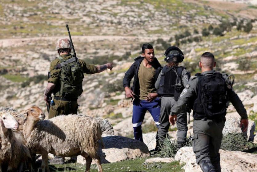 قطعان المستوطنين يعتدون على رعاة أغنام وقوات العدو تعتقل مواطنين في مسافر يطا