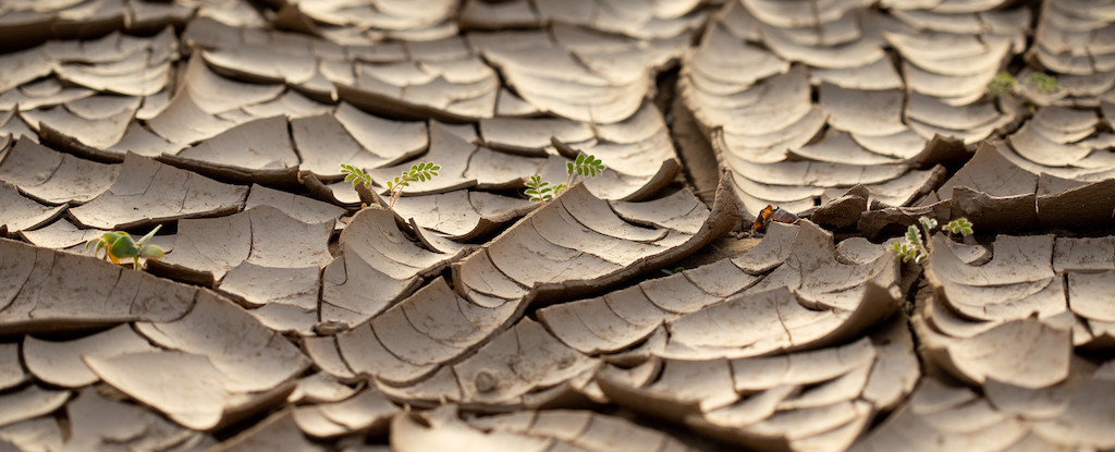 علماء يكشفون أن جنوب أفريقيا تطفو على سطح المحيط