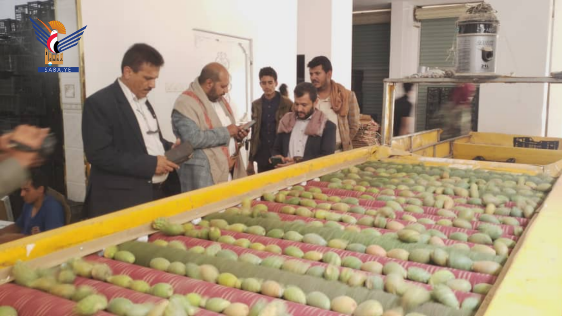 وكيل محافظة صنعاء يتفقد سير العمل بمؤسسة الفتح للإنتاج والتسويق الزراعي