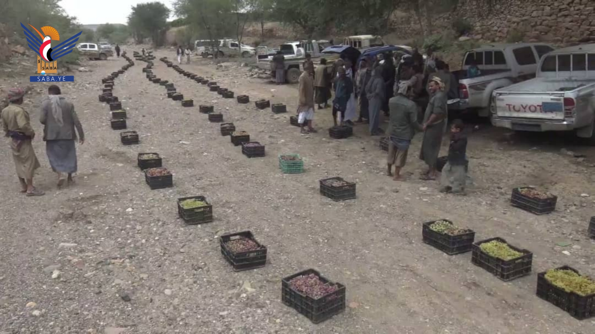 قبيلة بني حشيش في محافظة صنعاء تسير القافلة السادسة من العنب دعماً للجبهات