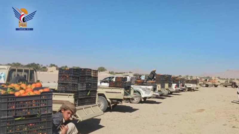 الجوف تسيّر قافلة برتقال للمرابطين في الجبهات