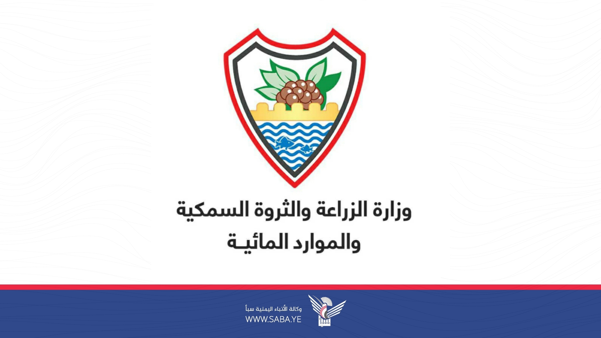 وزارة الزراعة والثروة السمكية تعلن بدء فتح موسم صيد الجمبري في البحر الأحمر