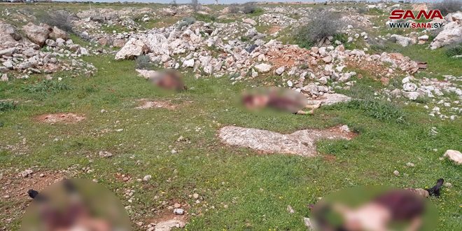 الجيش السوري يعلن مقتل واصابة عناصر من إرهابي جبهة النصرة في ريف حلب الغربي