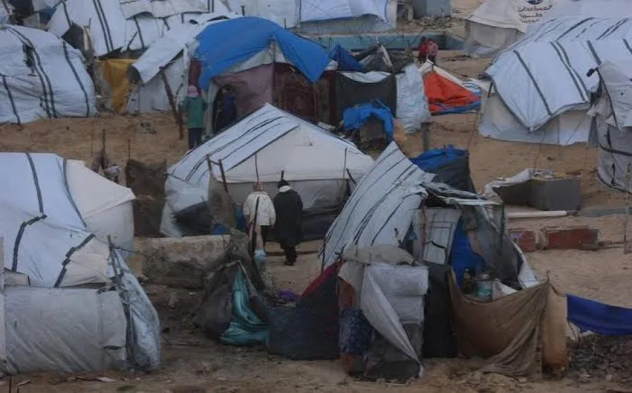 هالة خليل.. قصة نزوح فوق الركام في ظل الجوع والحصار بغزة