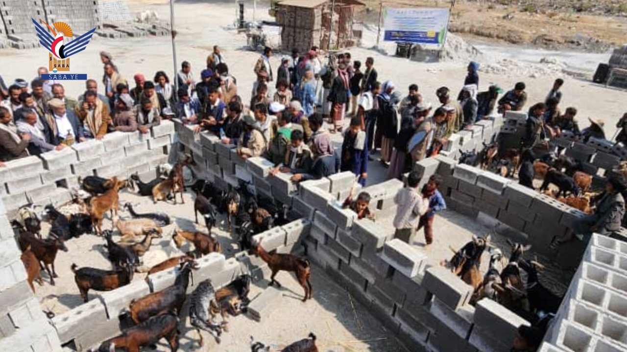 تدشين مشروع توزيع 1350 رأسًا من الأغنام على 90 أسرة ريفية في القفر بإب