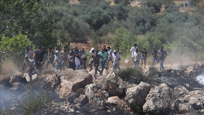 إصابة 36 فلسطينياً باعتداءات جيش العدو ومستوطنيه في بنابلس