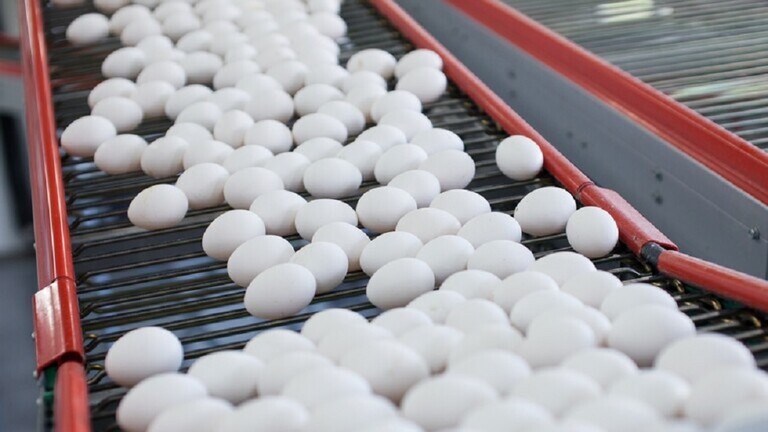 إفطار مثالي لمرضى السكري إفطار مثالي لمرضى السكري