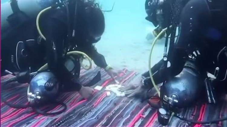 طفلة مصرية على موعد مع “غينيس” طفلة مصرية على موعد مع “غينيس”