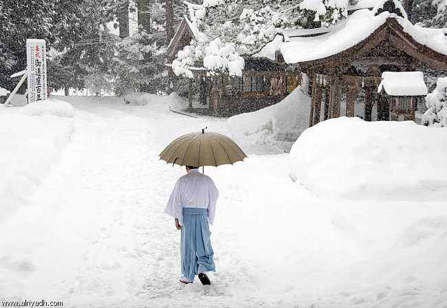 مصرع 60 شخصا على الأقل أثناء إزالة الثلوج في اليابان