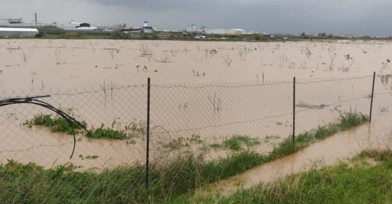 1.5 مليون دولار خسائر إغراق إسرائيل لأراضٍ زراعية بغزة