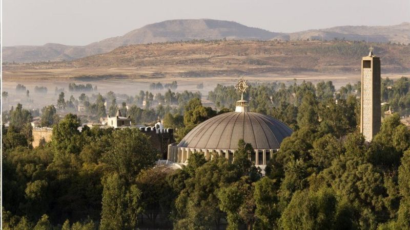 الصراع في تيغراي: الضباع نهشت جثث الضحايا في مدينة أكسوم المقدسة الصراع في تيغراي: الضباع نهشت جثث الضحايا في مدينة أكسوم المقدسة