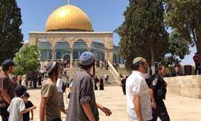 عشرات المستوطنين الصهاينة يقتحمون الأقصى والاحتلال يعتدي على شاب مقدسي