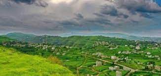 لقاء برئاسة نائب وزير التربية للجان الدورات الصيفية في إب