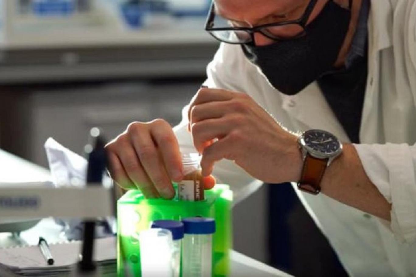 “حرير العنكبوت النباتي” بديل مستدام للمواد البلاستيكية