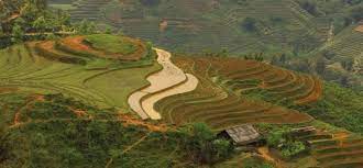 الصين: إنشاء مختبر إفتراضي لمحاكاة أنظمة المناخ والبيئة