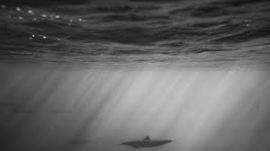 بريطانيا : روسيا والصين تمارسان نشاطات فضائية تتسم بالخطورة