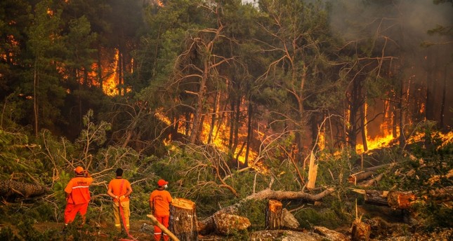 تركيا تعلن السيطرة على 209 حرائق في 47 ولاية