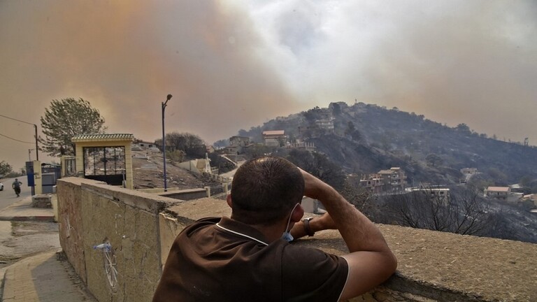 الجزائر: مشروع قانون يقضي بسجن مفتعلي الحرائق 30 عاما