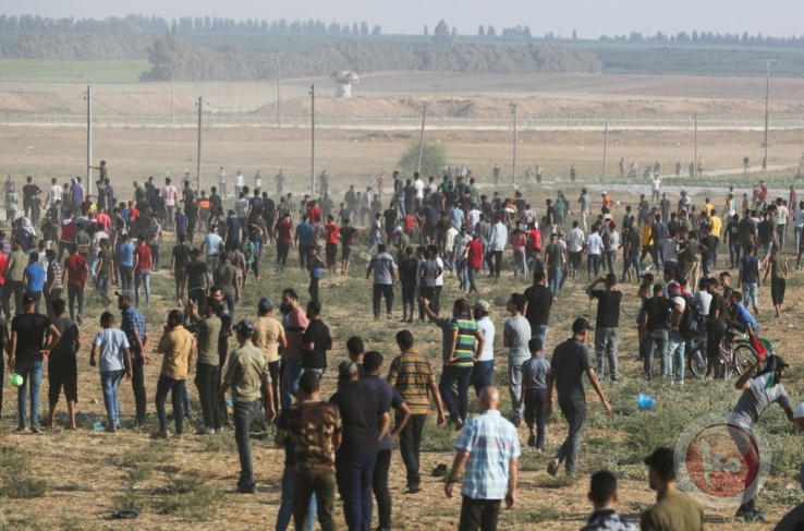 إصابة 14 فلسطينيا بنيران الاحتلال خلال مسيرة سلمية شرق غزة إصابة 14 فلسطينيا بنيران الاحتلال خلال مسيرة سلمية شرق غزة